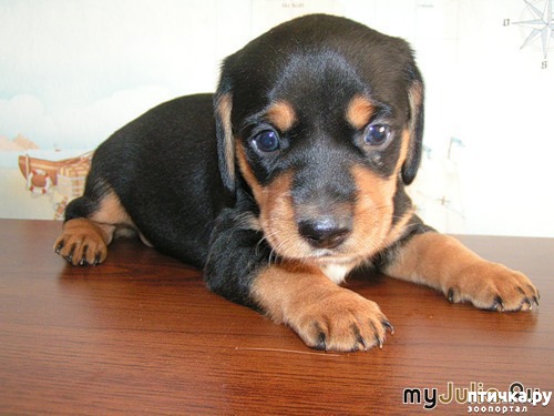 ���� 1: ��� ������ �����