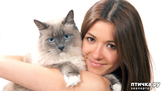 ���� 1: ��� � ���� ������: �� ��� �����?