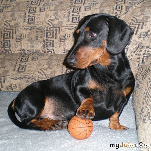 ���� 2: ��� ������ �����