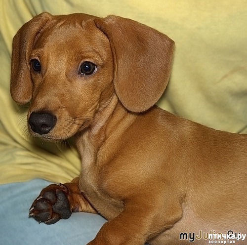 ���� 3: ��� ������ �����