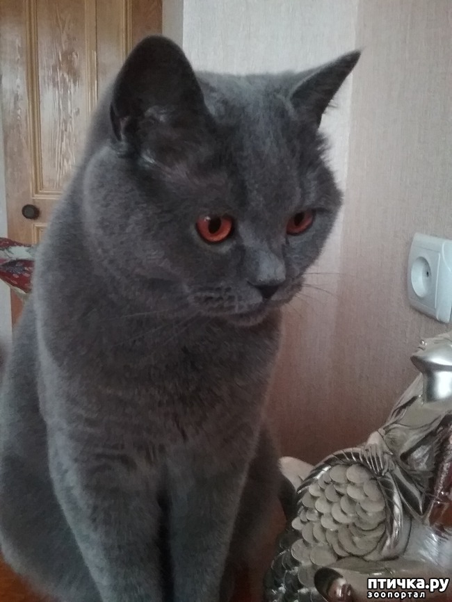 ���� 2: ��� � ���� ������: �� ��� �����?