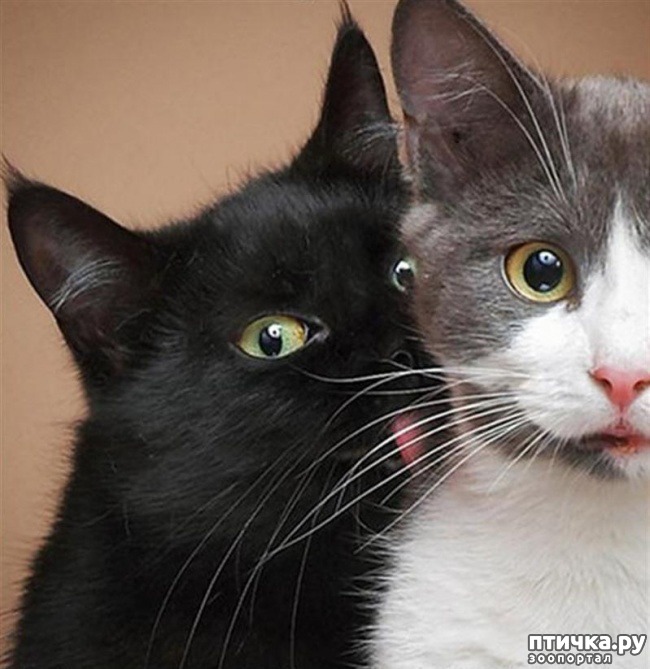 ���� 3: ��� � ���� ������: �� ��� �����?