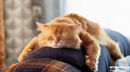 ���� 7: ���� �� ������� ��������...