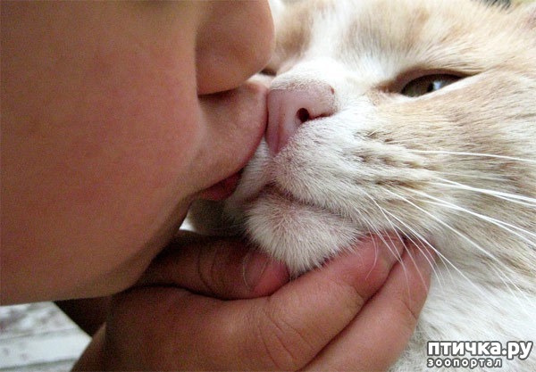 ���� 8: ���� �� ������� ��������...