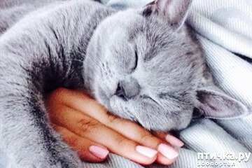 ���� 11: ���� �� ������� ��������...