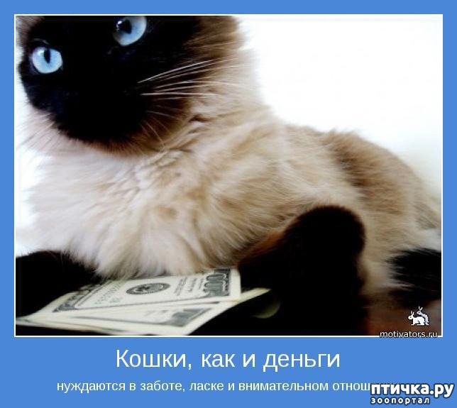 ���� 2: �a�����e �o��p��, c���a���e c �������.