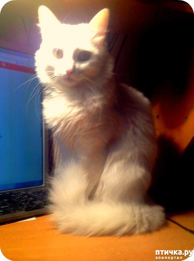 ���� 2: ����, ��� �������...