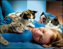 ���� 3: �a�����e �o��p��, c���a���e c �������.