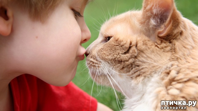 ���� 1: ����� � ���� - ������ ��� ����?