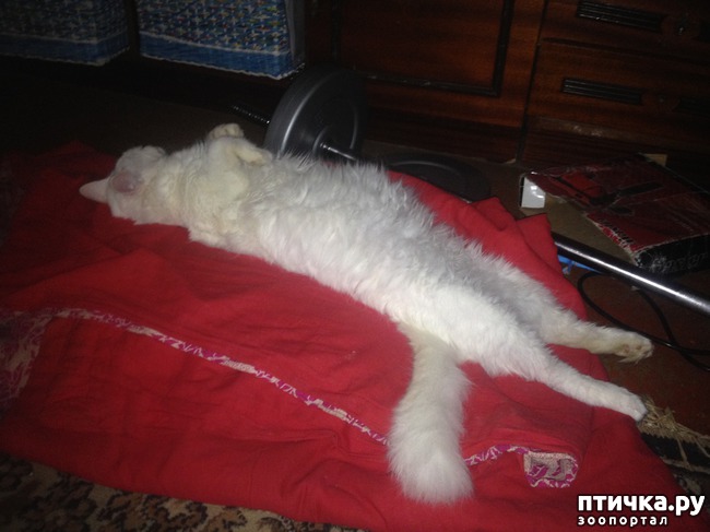 ���� 3: ����, ��� �������...