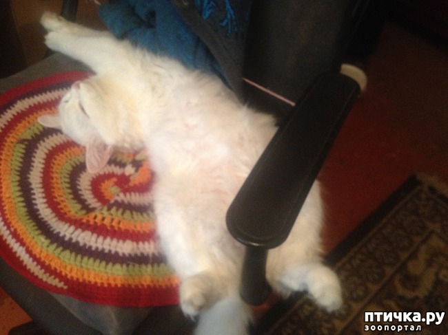 ���� 5: ����, ��� �������...