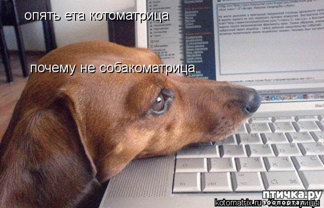 ���� 3: ���������� �������������, ���� �� ��� ���?!!