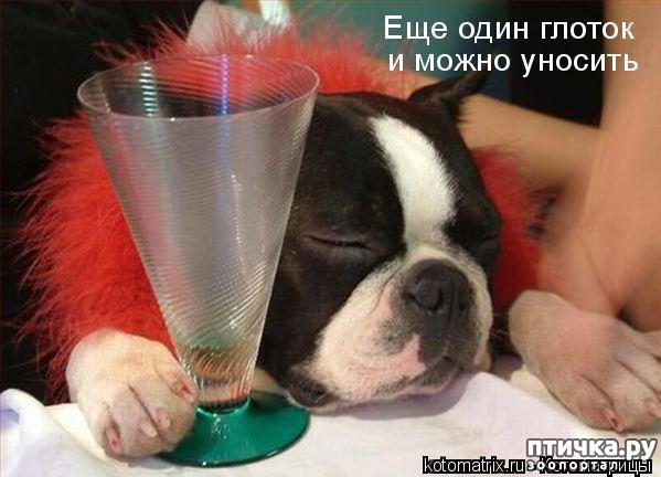 ���� 4: ���������� �������������, ���� �� ��� ���?!!