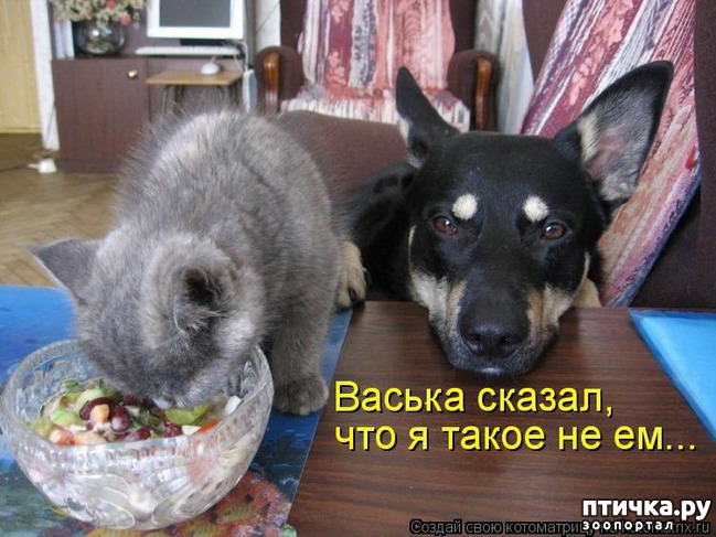 ���� 5: ���������� �������������, ���� �� ��� ���?!!