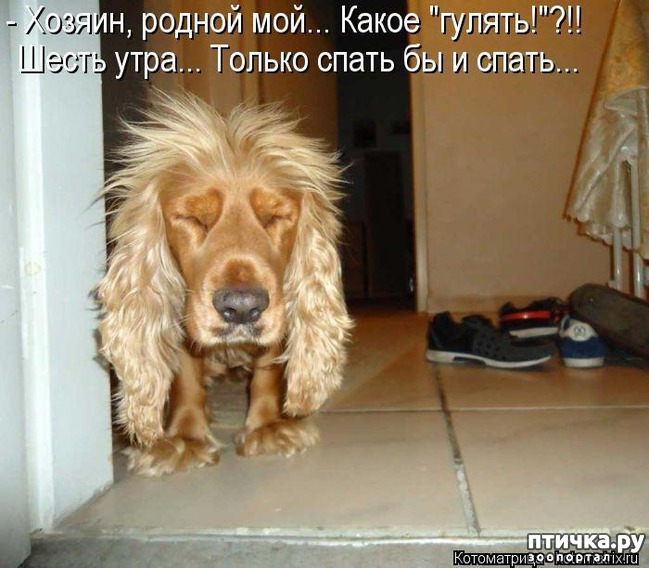 ���� 6: ���������� �������������, ���� �� ��� ���?!!