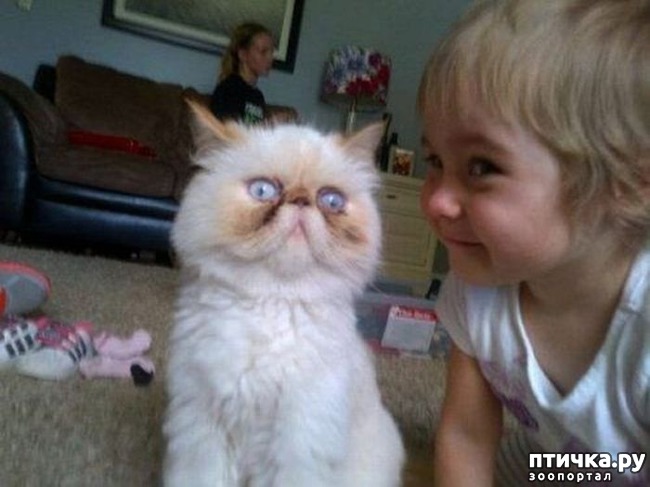 ���� 3: ����� � ���� - ������ ��� ����?