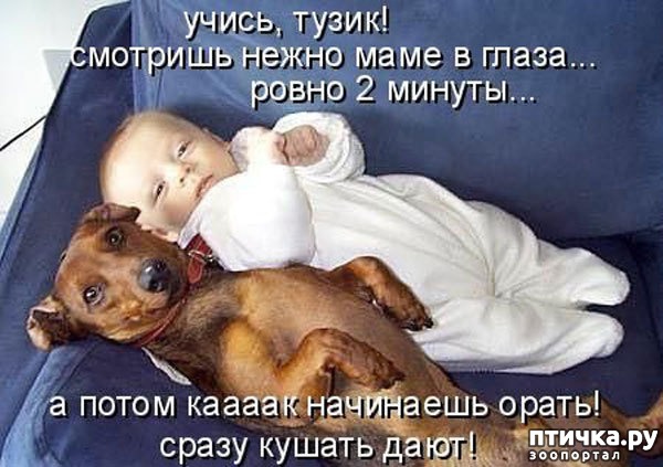 ���� 7: ���������� �������������, ���� �� ��� ���?!!