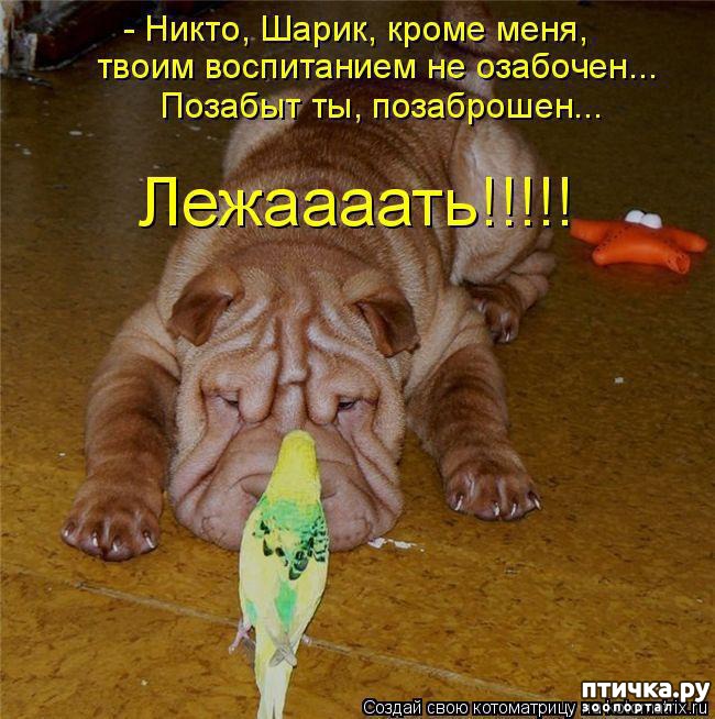 ���� 8: ���������� �������������, ���� �� ��� ���?!!