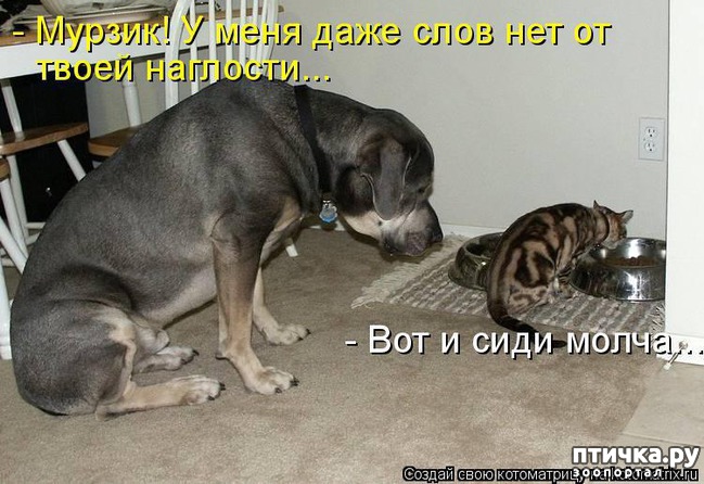 ���� 9: ���������� �������������, ���� �� ��� ���?!!