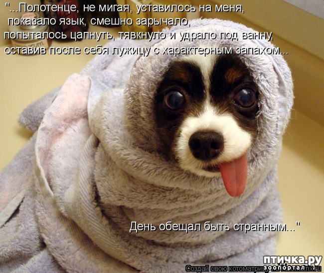 ���� 10: ���������� �������������, ���� �� ��� ���?!!