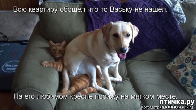 ���� 11: ���������� �������������, ���� �� ��� ���?!!