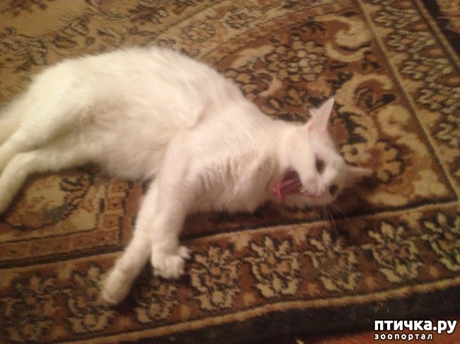 ���� 7: ����, ��� �������...