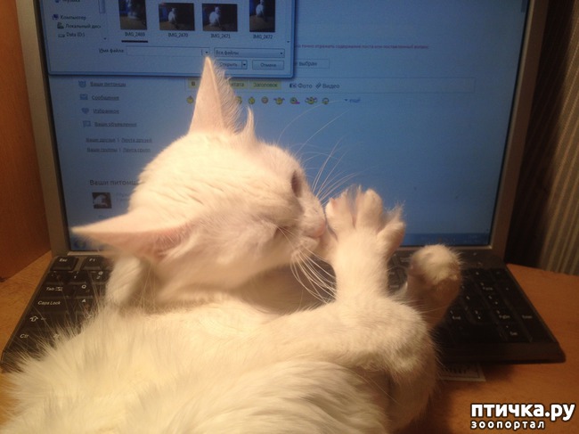 ���� 6: ����, ��� �������...