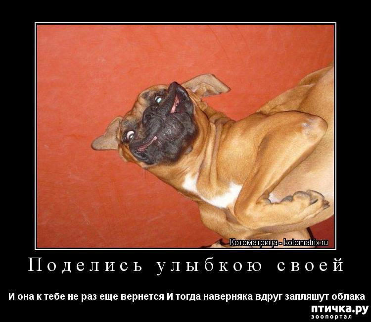 Хм мем. Куда же без нее. Где куда прешь. Где пропадаешь. Мемы ты где.