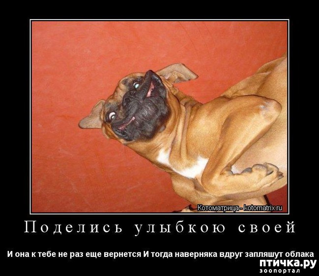 ���� 12: ���������� �������������, ���� �� ��� ���?!!