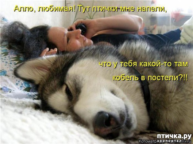 ���� 14: ���������� �������������, ���� �� ��� ���?!!