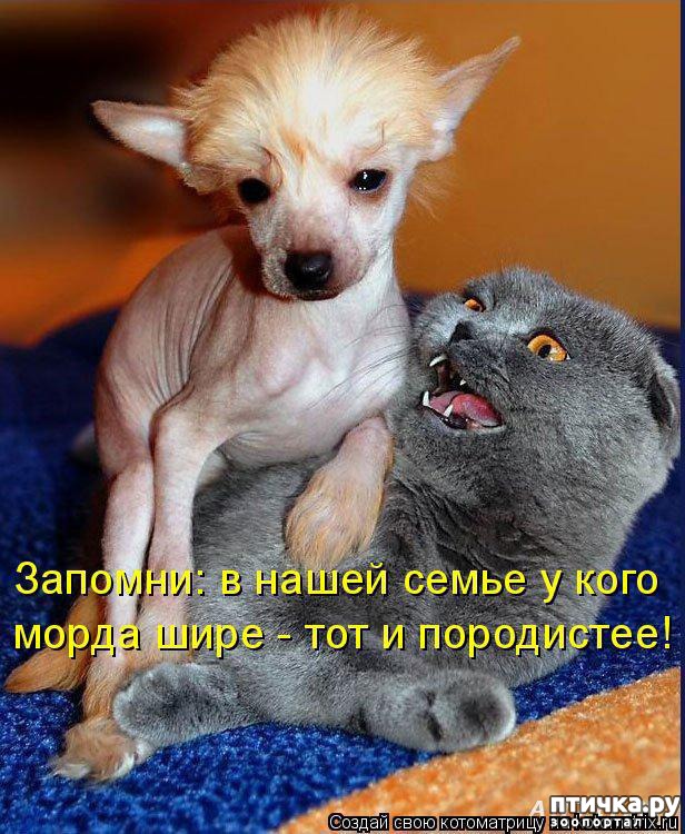 ���� 16: ���������� �������������, ���� �� ��� ���?!!