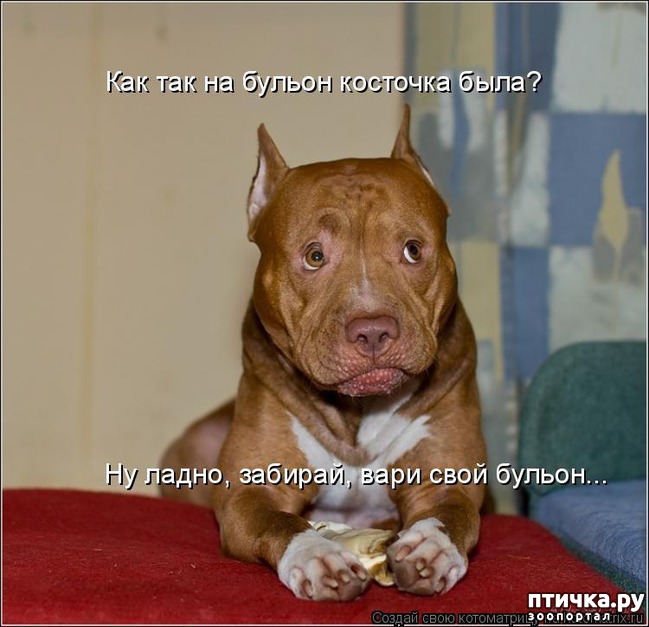 ���� 17: ���������� �������������, ���� �� ��� ���?!!