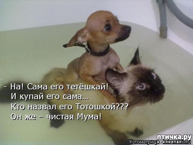 ���� 18: ���������� �������������, ���� �� ��� ���?!!