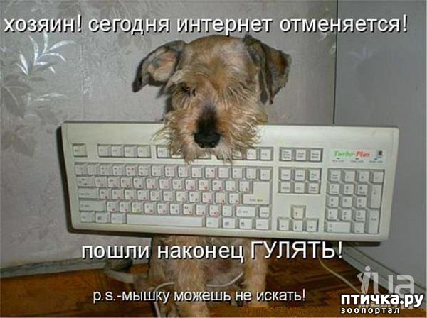 ���� 19: ���������� �������������, ���� �� ��� ���?!!