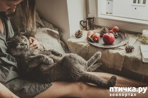 ����: ���� �� ������� ��������...