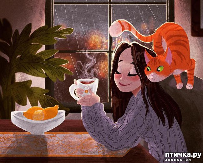 ���� 2: ���� �� ������� ��������...