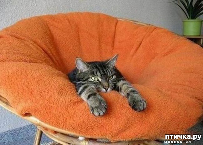 ���� 5: ���� �� ������� ��������...