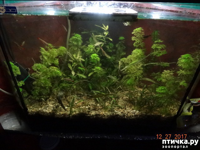 ���� 1: �������.