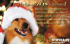 ����: ���������� �������������, ���� �� ��� ���?!!