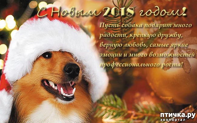 ���� 1: ���������� �������������, ���� �� ��� ���?!!