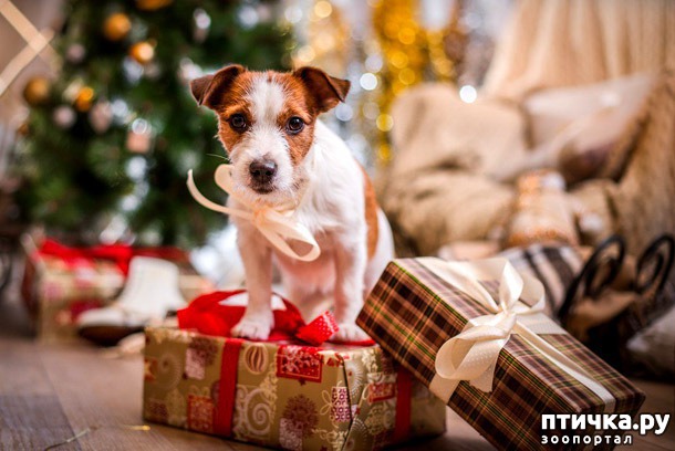 ���� 2: ���������� �������������, ���� �� ��� ���?!!