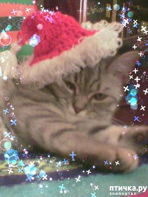 ����: � ����� �����!