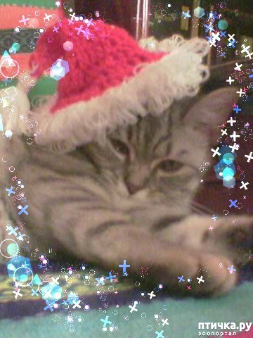 ���� 1: � ����� �����!