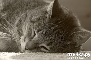 ����: �a�����e �o��p��, c���a���e c �������.