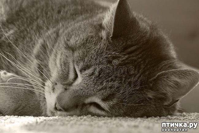 ���� 1: �a�����e �o��p��, c���a���e c �������.