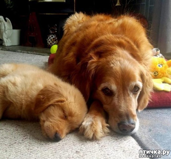 ���� 1: ����� ������ ������� �� ���������)))