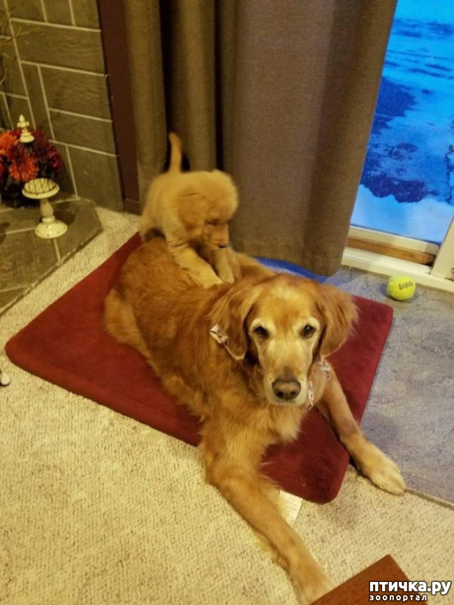 ���� 2: ����� ������ ������� �� ���������)))