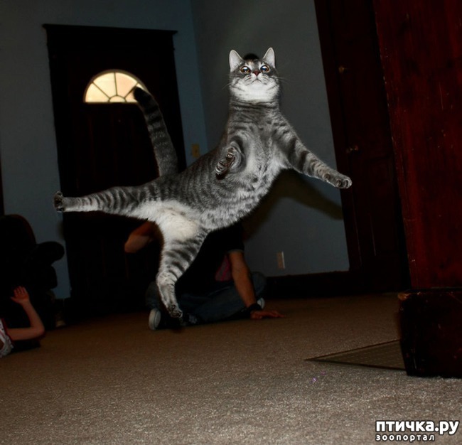 ���� 3: ��� �������� �����