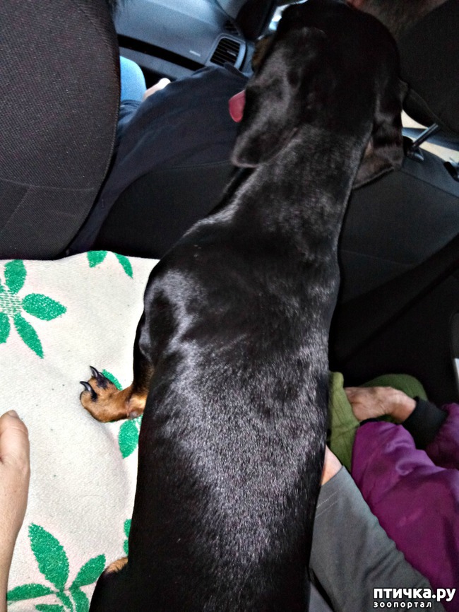 ���� 2: ���� � ������� ����� 1