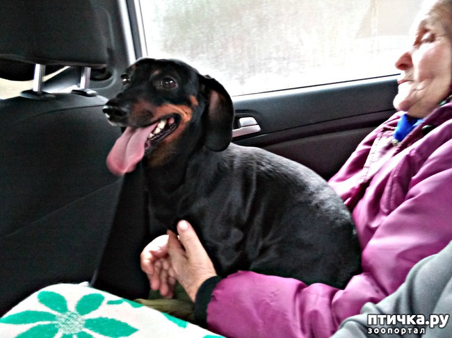 ���� 3: ���� � ������� ����� 1